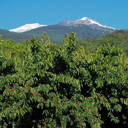 In Ayguatebia-talau With Garden & Bbq, Cleaning Included * Talau
